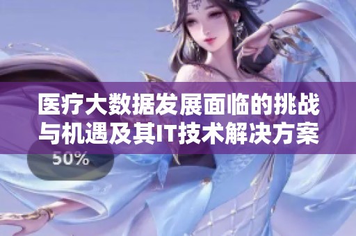 医疗大数据发展面临的挑战与机遇及其IT技术解决方案