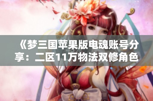 《梦三国苹果版电魂账号分享：二区11万物法双修角色攻略》