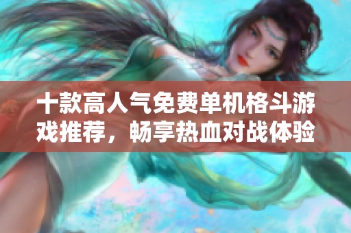 十款高人气免费单机格斗游戏推荐，畅享热血对战体验