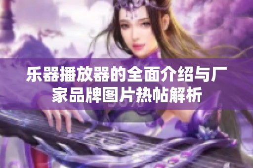乐器播放器的全面介绍与厂家品牌图片热帖解析