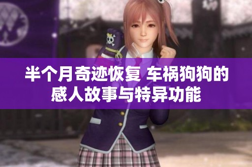半个月奇迹恢复 车祸狗狗的感人故事与特异功能