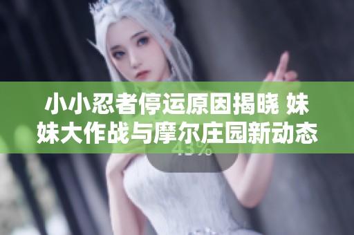 小小忍者停运原因揭晓 妹妹大作战与摩尔庄园新动态一览