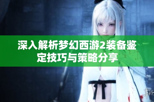 深入解析梦幻西游2装备鉴定技巧与策略分享