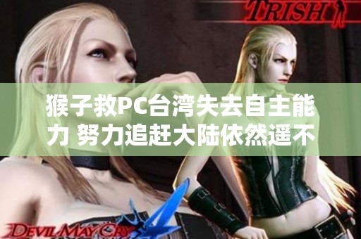 猴子救PC台湾失去自主能力 努力追赶大陆依然遥不可及