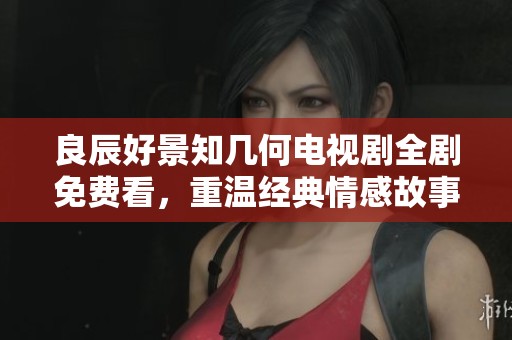 良辰好景知几何电视剧全剧免费看，重温经典情感故事