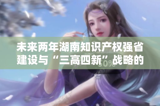 未来两年湖南知识产权强省建设与“三高四新”战略的深度融合探索