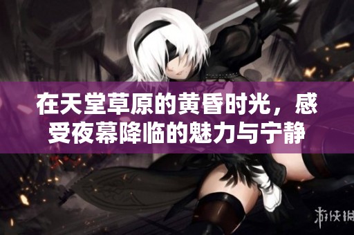 在天堂草原的黄昏时光，感受夜幕降临的魅力与宁静