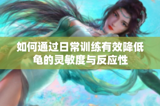 如何通过日常训练有效降低龟的灵敏度与反应性