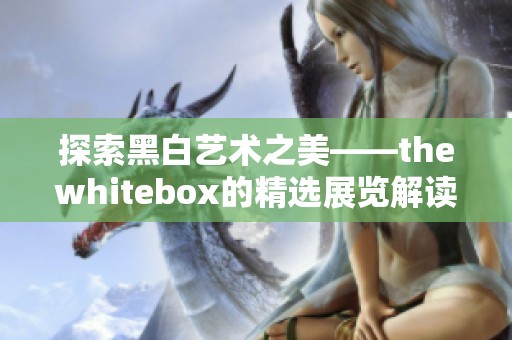 探索黑白艺术之美——thewhitebox的精选展览解读