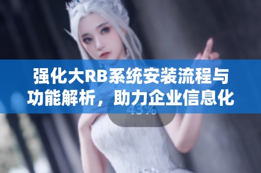 强化大RB系统安装流程与功能解析，助力企业信息化转型