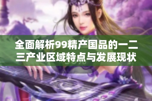 全面解析99精产国品的一二三产业区域特点与发展现状