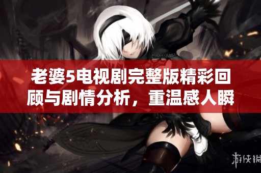 老婆5电视剧完整版精彩回顾与剧情分析，重温感人瞬间