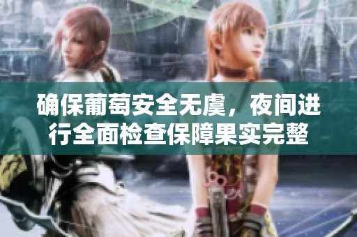 确保葡萄安全无虞，夜间进行全面检查保障果实完整