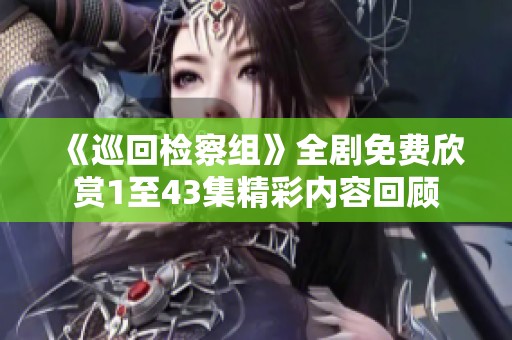 《巡回检察组》全剧免费欣赏1至43集精彩内容回顾