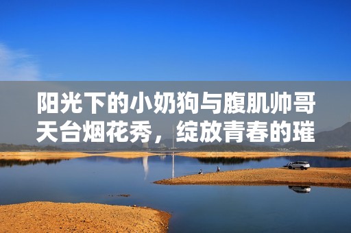 阳光下的小奶狗与腹肌帅哥天台烟花秀，绽放青春的璀璨瞬间