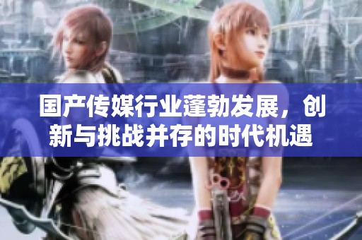 国产传媒行业蓬勃发展，创新与挑战并存的时代机遇