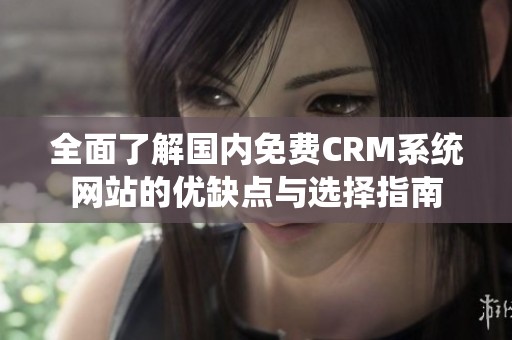 全面了解国内免费CRM系统网站的优缺点与选择指南