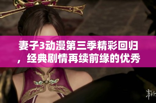 妻子3动漫第三季精彩回归，经典剧情再续前缘的优秀作品