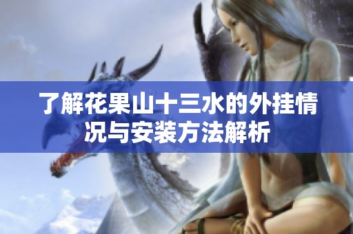 了解花果山十三水的外挂情况与安装方法解析