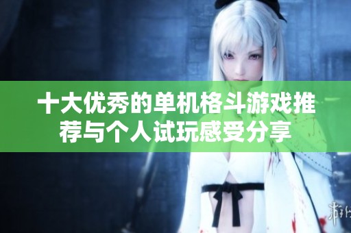 十大优秀的单机格斗游戏推荐与个人试玩感受分享