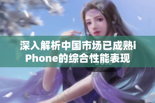 深入解析中国市场已成熟iPhone的综合性能表现