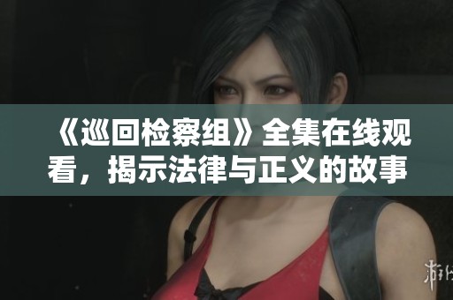 《巡回检察组》全集在线观看，揭示法律与正义的故事