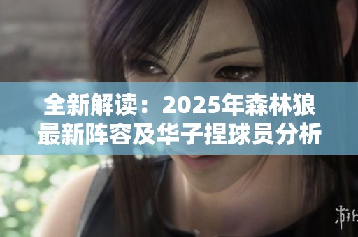 全新解读：2025年森林狼最新阵容及华子捏球员分析
