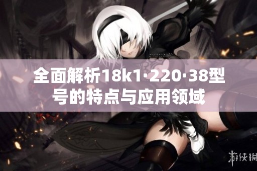 全面解析18k1·220·38型号的特点与应用领域