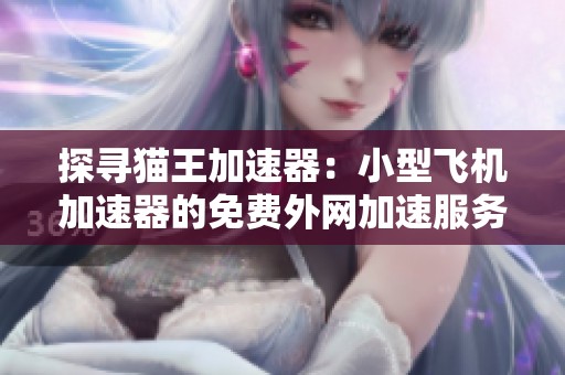 探寻猫王加速器：小型飞机加速器的免费外网加速服务解析