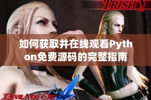 如何获取并在线观看Python免费源码的完整指南