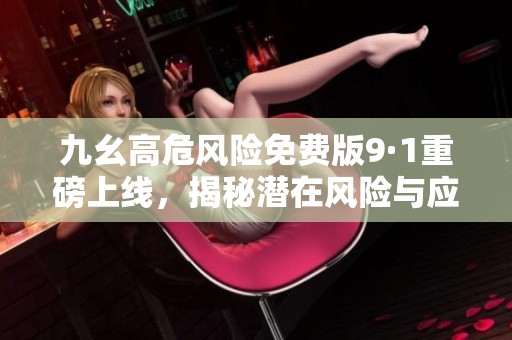 九幺高危风险免费版9·1重磅上线，揭秘潜在风险与应对措施
