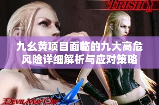 九幺黄项目面临的九大高危风险详细解析与应对策略