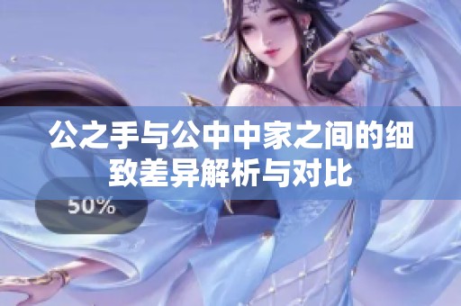 公之手与公中中家之间的细致差异解析与对比