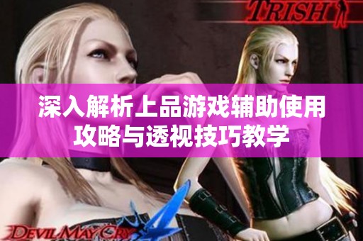 深入解析上品游戏辅助使用攻略与透视技巧教学