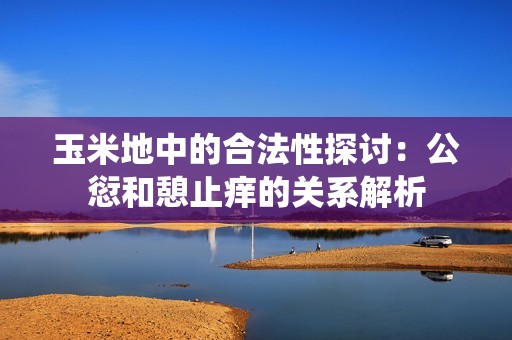 玉米地中的合法性探讨：公愆和憩止痒的关系解析