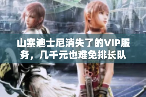 山寨迪士尼消失了的VIP服务，几千元也难免排长队