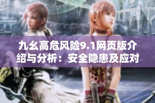九幺高危风险9.1网页版介绍与分析：安全隐患及应对策略