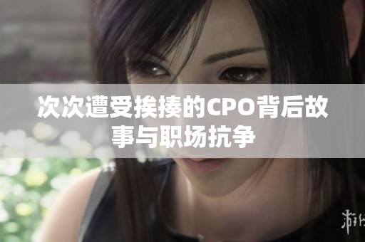次次遭受挨揍的CPO背后故事与职场抗争