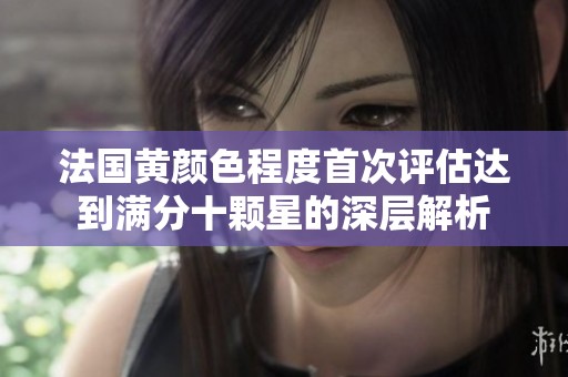法国黄颜色程度首次评估达到满分十颗星的深层解析