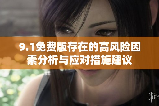 9.1免费版存在的高风险因素分析与应对措施建议