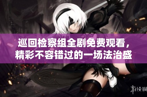 巡回检察组全剧免费观看，精彩不容错过的一场法治盛宴