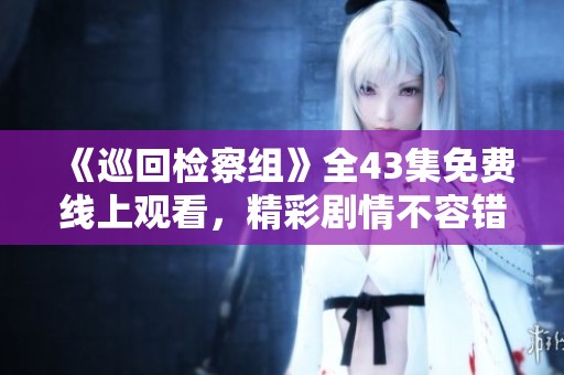《巡回检察组》全43集免费线上观看，精彩剧情不容错过