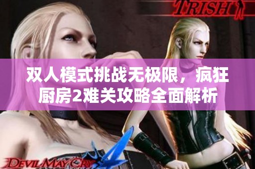 双人模式挑战无极限，疯狂厨房2难关攻略全面解析