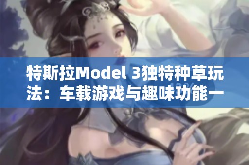 特斯拉Model 3独特种草玩法：车载游戏与趣味功能一网打尽