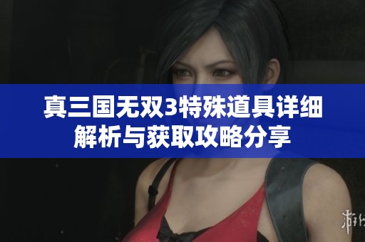 真三国无双3特殊道具详细解析与获取攻略分享