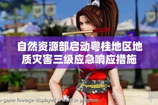 自然资源部启动粤桂地区地质灾害三级应急响应措施