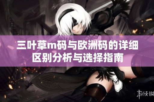 三叶草m码与欧洲码的详细区别分析与选择指南