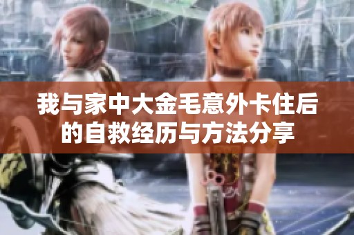 我与家中大金毛意外卡住后的自救经历与方法分享