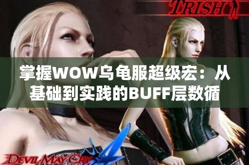掌握WOW乌龟服超级宏：从基础到实践的BUFF层数循环赋值解析