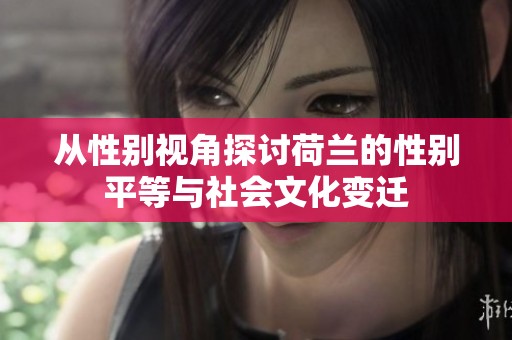 从性别视角探讨荷兰的性别平等与社会文化变迁